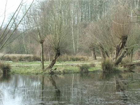 Museum Insel Hombroich : Im Frühjahr